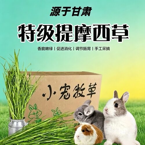 龙猫兔子荷兰猪提摩西草归乡提