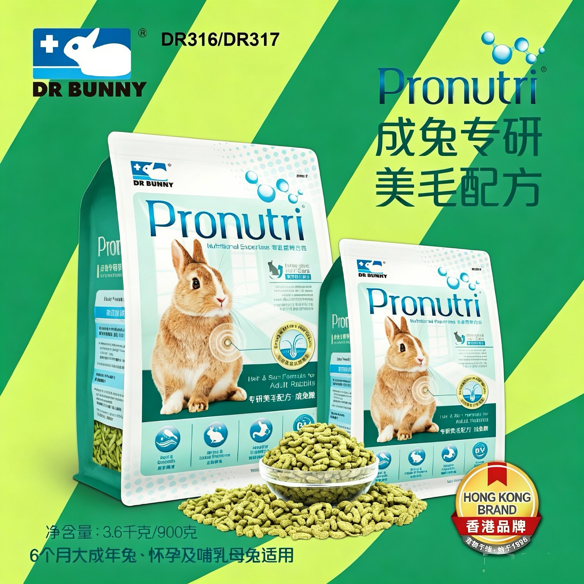 垂耳兔侏儒兔兔粮成年粮食兔子图片