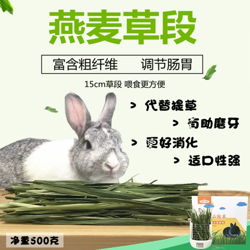 Бесплатная доставка зеленая овсяная камея сечение кролика Тоторо Голландская свинина и пастырская трава вместо Timothyca Net Вес 500G