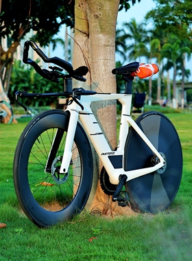 2025AVENGER-复仇者Tm7碳纤维铁三整车