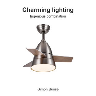 Flower Ones现代简约小吊扇餐厅卧室儿童房静音变频护眼电风扇灯