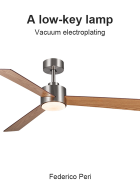 Flower Ones高端实木吊扇简约客餐厅家用静音2025新款电风扇吊灯