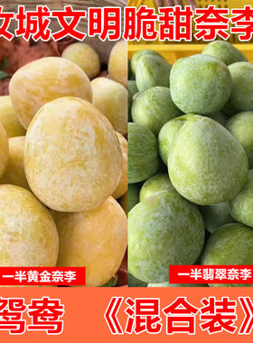 正宗湖南汝城文明翡翠李