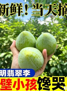 正宗汝城文明翡翠李九峰山绿宝石李子新鲜应季孕妇水果脆甜多汁