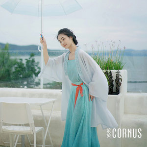 茱萸CORNUS 鸟衔枝长衫 汉服国风中式日常女装宋制对襟女上衣