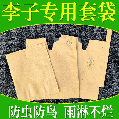 李子套袋专用袋黄金奈李三华李蜂糖李水果果树纸袋包果袋防虫防鸟 - 封面
