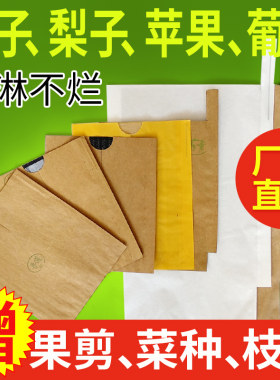 枇杷桃子苹果套袋专用葡萄