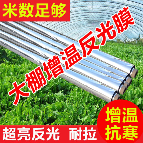 大棚蔬菜增温反光膜后墙反光幕布
