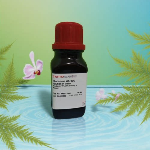 赛默飞标准溶液罗丹明WT,20%