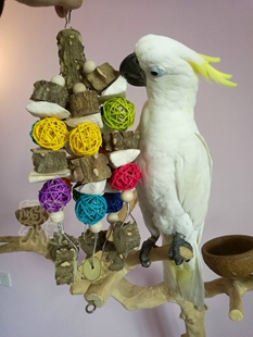 中大型鹦鹉啃咬玩具花椒木藤球健康补钙磨牙串玄凤牡丹鹦鹉用品