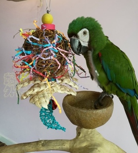 中小型鹦鹉啃咬破坏类玩具缤纷大章鱼彩球玄凤牡丹鹦鹉磨嘴鸟用品