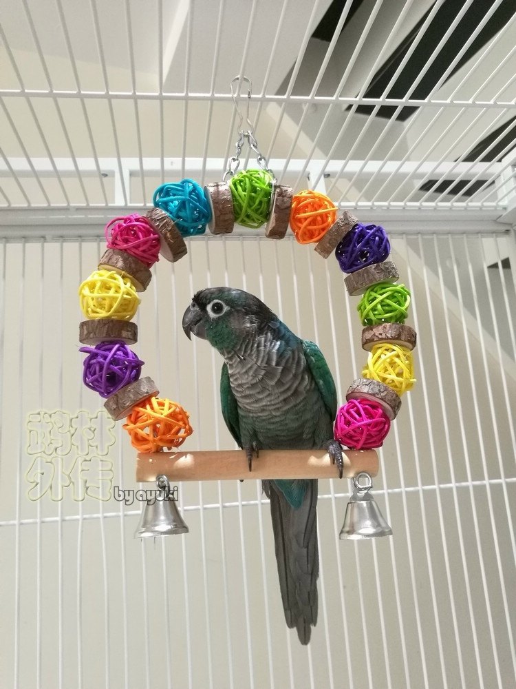 鹦鹉用品用具带皮原木藤球秋千铃铛宠物鸟攀爬玩具玄风牡丹虎皮,宠物/宠物食品及用品,鸟秋千,淘宝优惠券,粉丝福利购,淘宝优惠卷