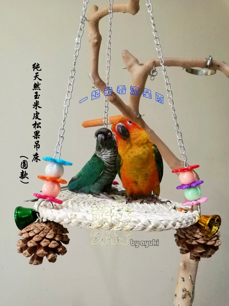 啃咬解闷鹉林外传益智鹦鹉玩具