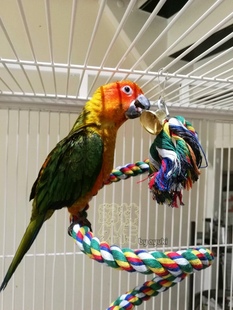 中小型鹦鹉攀爬绳索 五彩棉绳秋千 站杠爬梯旋转云梯鹦鹉啃咬玩具