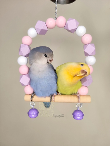 啃咬解闷鹉林外传益智鹦鹉玩具