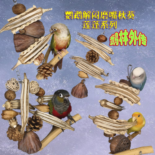 鹦鹉专用磨牙棒秋葵莲蓬啃咬玩具