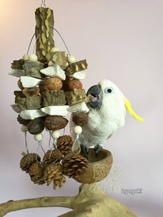 店主推荐鹦鹉啃咬玩具墨鱼骨补钙花椒木缤纷大果串玄凤牡丹用品