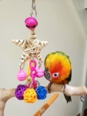 中小型鹦鹉啃咬玩具藤编星星缤纷松果铃铛串玄凤牡丹虎皮鸟笼用品