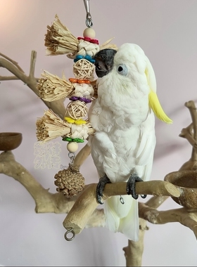 新品推荐鹦鹉啃咬玩具益智稻草人拉菲草松果串绿色健康玄凤牡丹