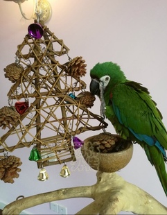 鹦鹉用品用具藤编松果铃铛圣诞树玄凤小太玩具鸟笼挂件配饰推荐