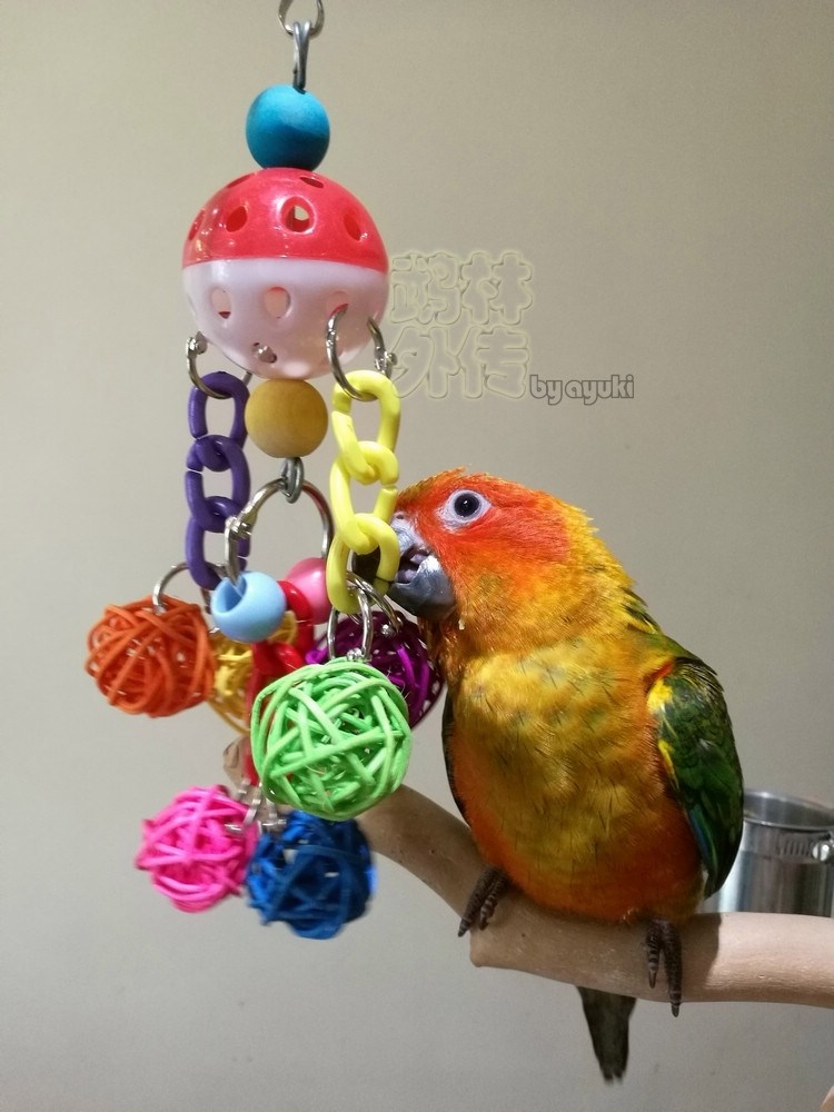 中小型鹦鹉啃咬玩具缤纷亚克力七彩藤球铃铛小太玄凤牡丹磨嘴咬串,宠物/宠物食品及用品,鸟玩具,淘宝优惠券,粉丝福利购,淘宝优惠卷