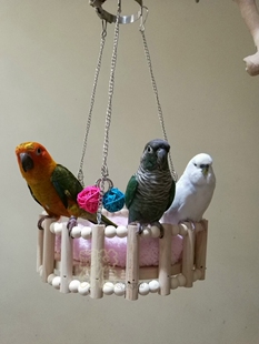 店主推荐小太玄凤虎皮鹦鹉原木吊床磨嘴啃咬玩具睡觉棉屋鸟笼配件