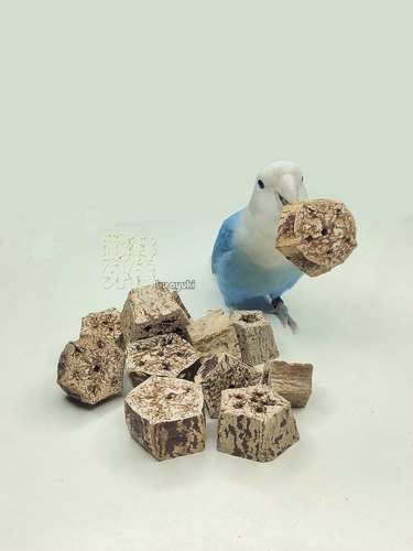 鹦鹉啃咬磨牙鹉林外传解闷磨嘴