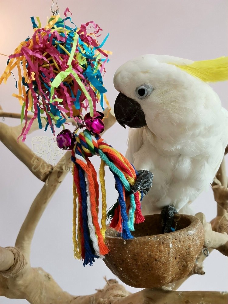 新款推荐鹦鹉啃咬玩具拉丝彩球大爆炸金太玄凤牡丹训练磨嘴鸟用品,宠物/宠物食品及用品,鸟玩具,淘宝优惠券,粉丝福利购,淘宝优惠卷