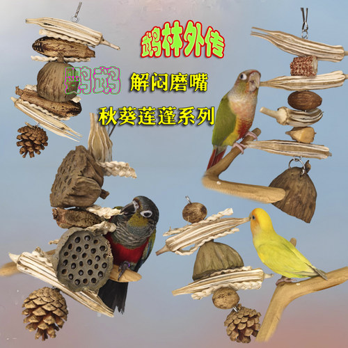 鹦鹉磨牙解闷牡丹玄凤益智玩具