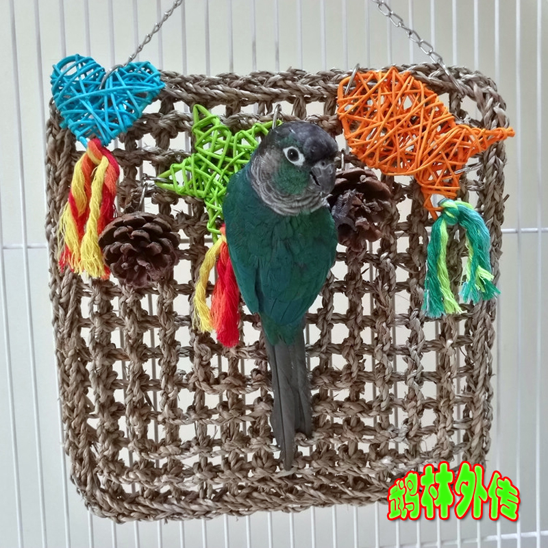 鹦鹉玩具鹉林外传秋葵杨桃攀爬网