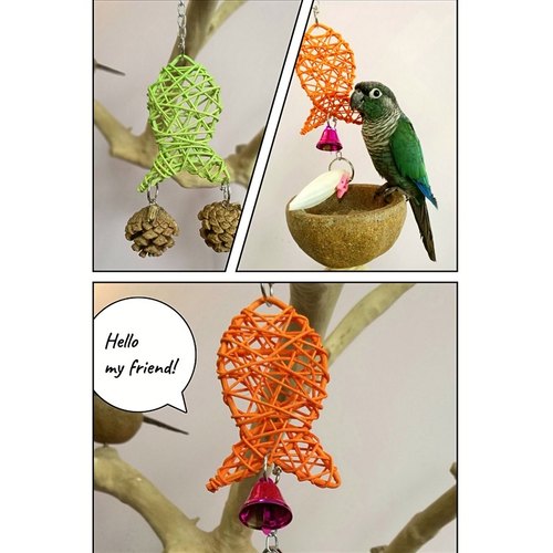 啃咬解闷鹉林外传益智鹦鹉玩具