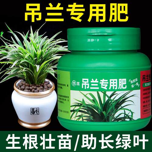 吊兰专用肥金边吊兰肥料营养液四季盆栽花肥有机肥复合肥喷叶养料