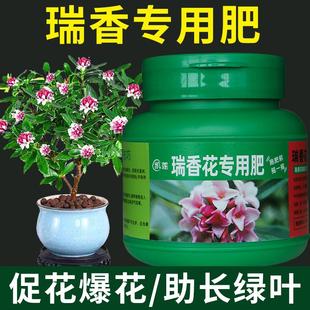 金边瑞香专用肥花肥家用通用型养花盆栽绿植肥料花卉颗粒缓释肥料