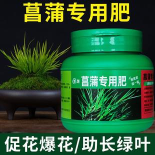 菖蒲专用肥山菖蒲肥料营养液液体养料化肥复合肥有机肥尧韭缓释肥