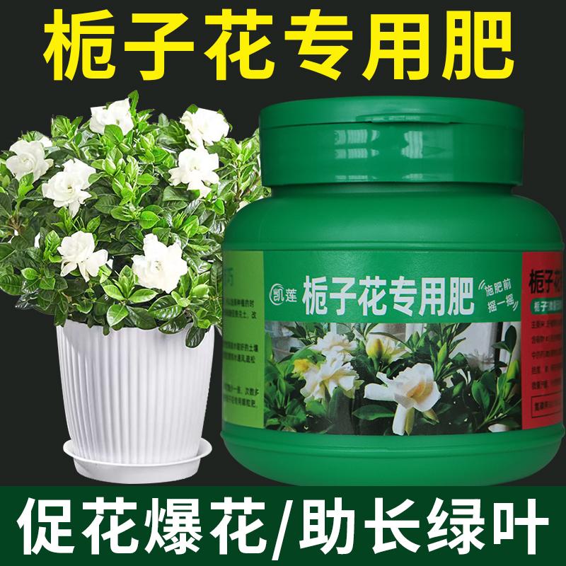 栀子花肥料专用肥酸性防黄叶营养液有机开花肥绿叶盆栽植物园艺肥