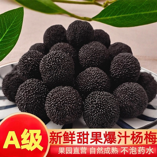 宁波慈溪余姚高山杨梅新鲜浙江现摘现发当季鲜果荸荠黑炭杨梅礼盒