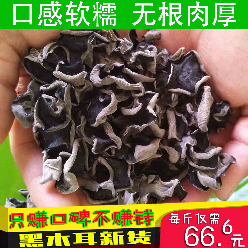 ºÚÁú½ÎÞ¸ùÓÅÖʺÚľ¶ú125g¡Á4´ü Õý×Ú¶«±±Ìزú¸É²ËÇïľ¶ú500g¸É»õ