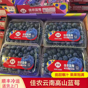 佳农云南高山蓝莓250g当季新鲜