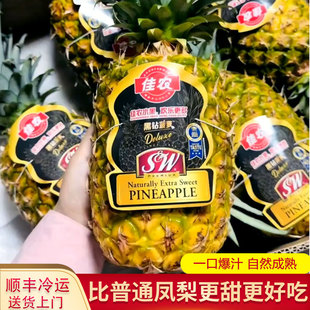 佳农凤梨新鲜水果菲律宾进口sw蜂蜜超大果树上熟金菠萝黑钻凤梨