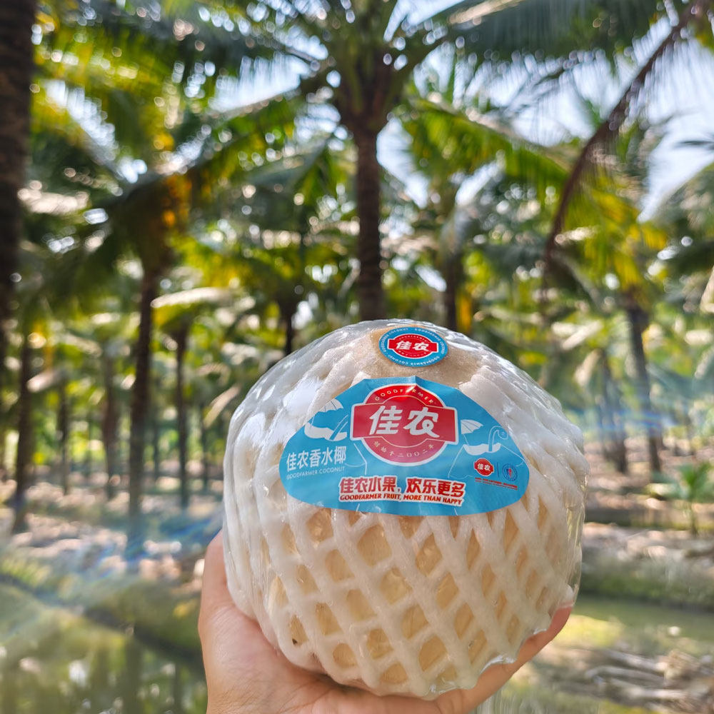佳农椰子水椰青特大果泰国新鲜香水椰孕妇补羊水9粒椰汁整箱包邮,水产肉类/新鲜蔬果/熟食,椰青,淘宝优惠券,粉丝福利购,淘宝优惠卷