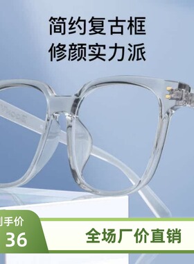 百世芬网红款18163BV复古大框tr90眼镜架显脸小时尚2023时尚