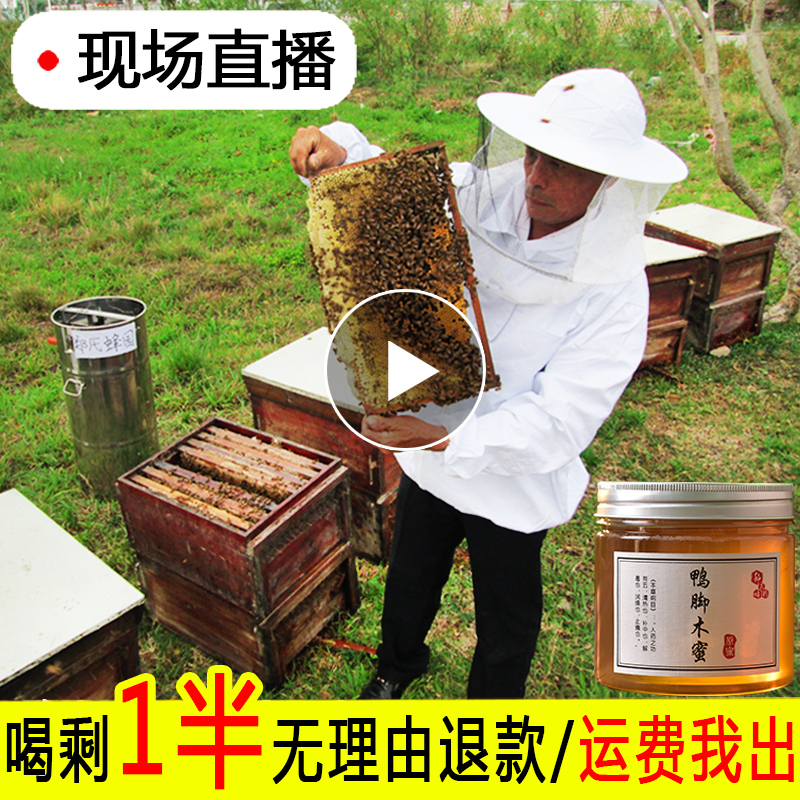高品质鸭脚木蜜500g土蜂蜜纯正天然农家自产自家养正宗野生冬蜜