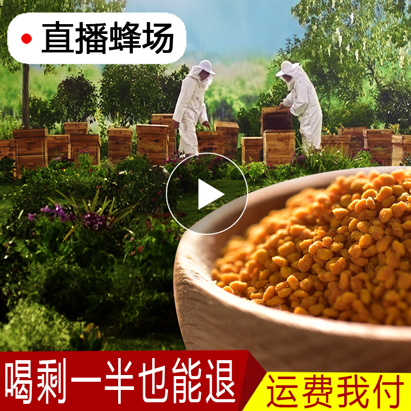 高品质荷花粉250g纯正天然农家自产新鲜食用莲花粉养蜜蜂花粉正品