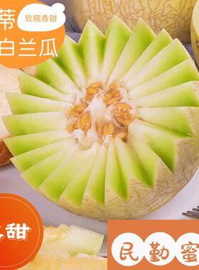 甘肃民勤银蒂白兰瓜鲜甜直发
