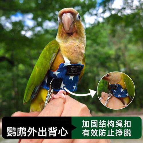 鹦鹉衣服超轻遛鸟神器外出背带玄风虎皮牡丹放飞绳牵引防丢飞行服