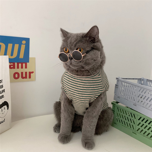 宠物狗狗猫猫夏季薄款背心夏装可爱英短猫咪小猫衣服防掉毛夏天