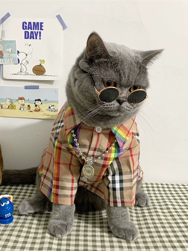 Tide, осенняя рубашка, шнурок-держатель, популярно в интернете