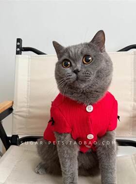 狗狗猫咪衣服秋冬新款高级感可爱布偶金银渐层蝴蝶结泡泡袖毛衣