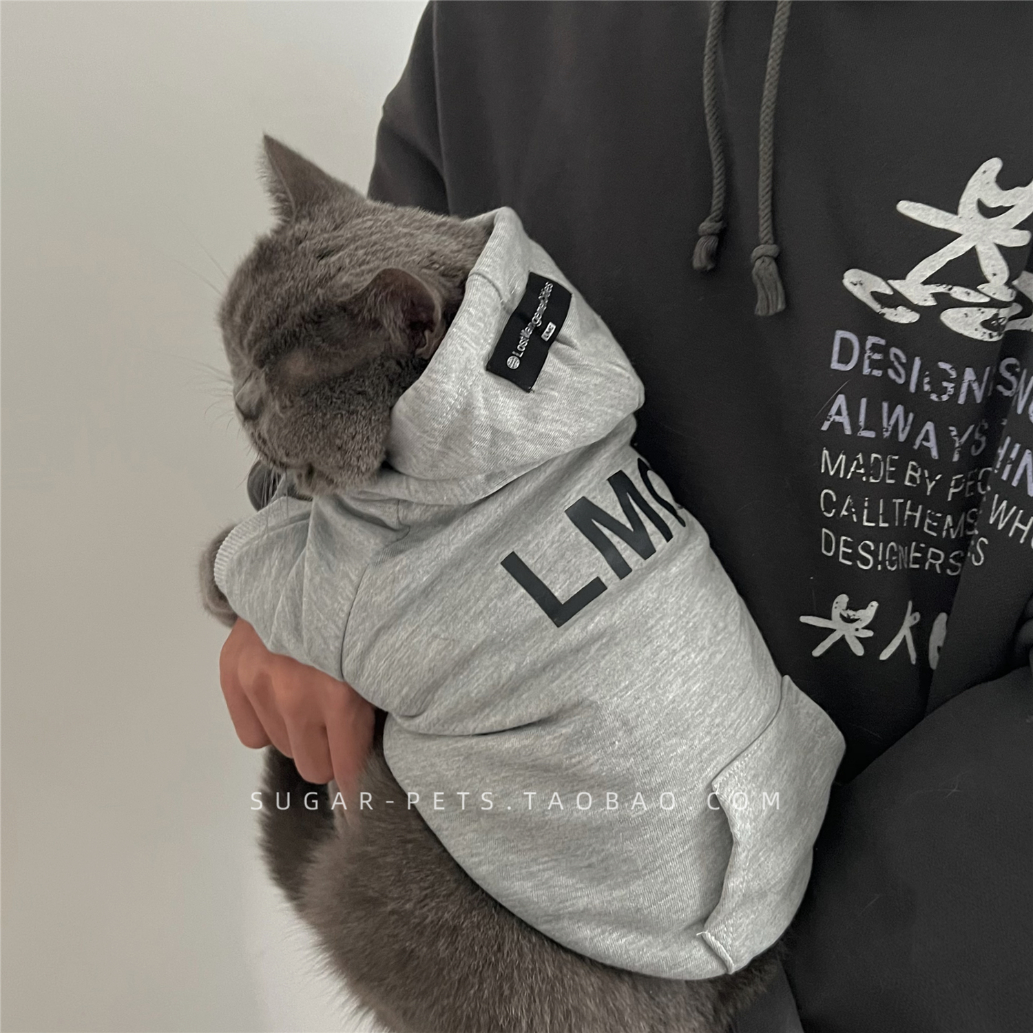 秋冬装狗狗猫咪衣服保暖潮牌公猫帅气英美短蓝猫金银渐层连帽卫衣