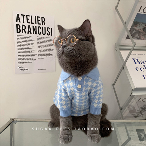 冬天可爱英短蓝猫毛衣宠物狗狗